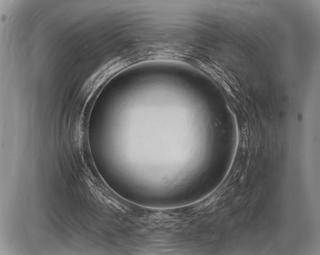 X0000086060290200703231249