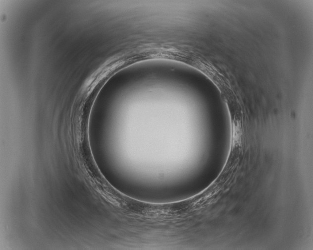 X0000086060291200703231249