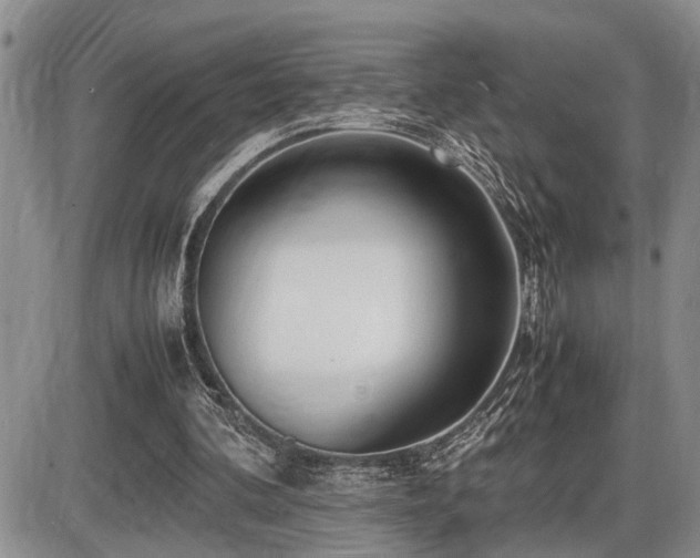 X0000086060292200703231249