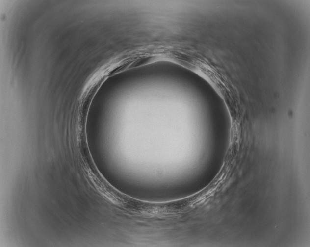 X0000086060293200703231249