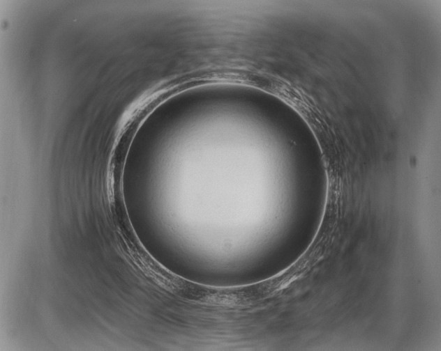 X0000086060294200703231249