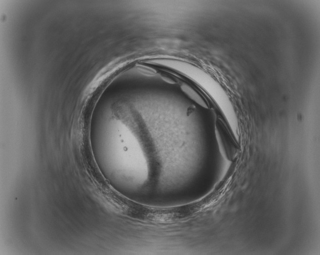 X0000086060295200703231249