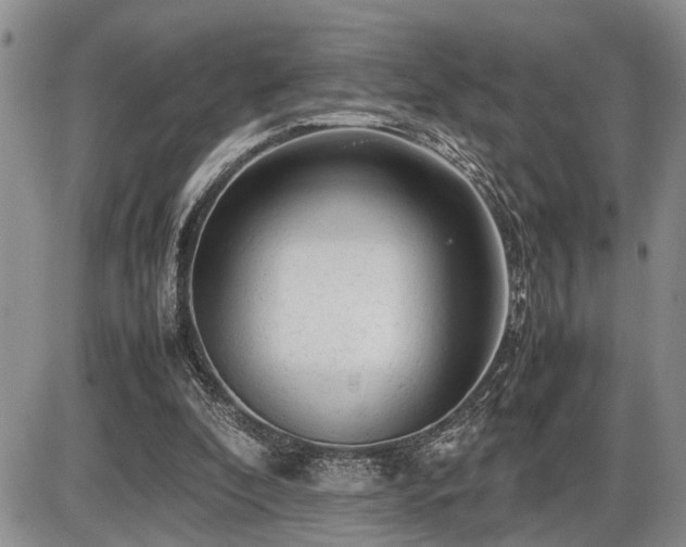 X0000086060296200703231249