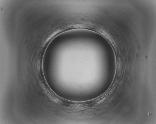 X0000086060297200703231249