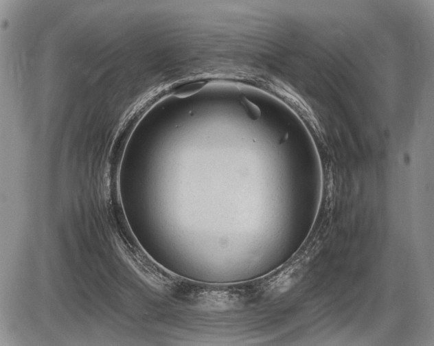 X0000086060298200703231249