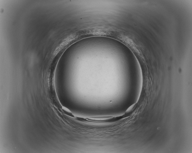 X0000086060299200703231249