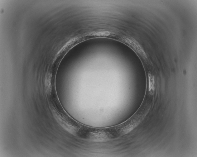 X0000086060300200703231249