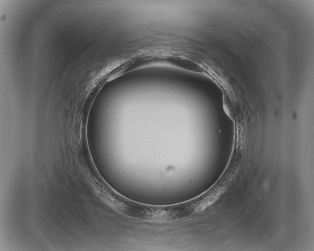 X0000086060301200703231248