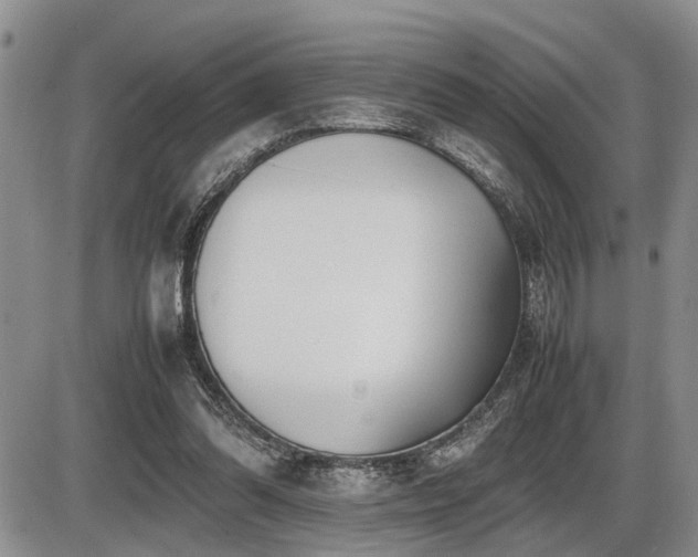 X0000086060302200703231248