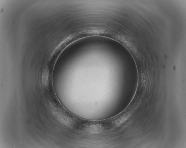 X0000086060304200703231248