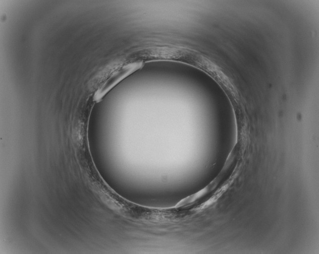 X0000086060305200703231248