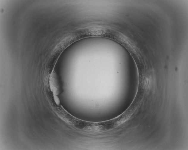 X0000086060307200703231248