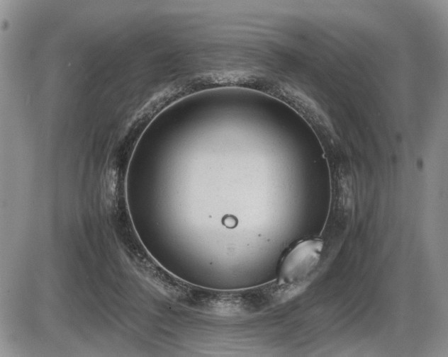 X0000086060308200703231248