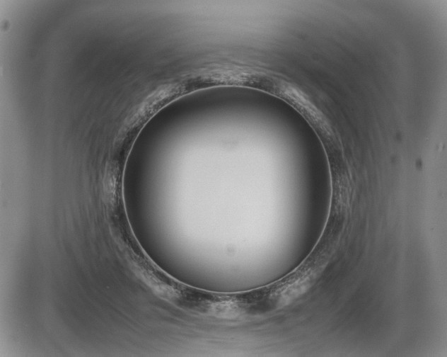 X0000086060309200703231248