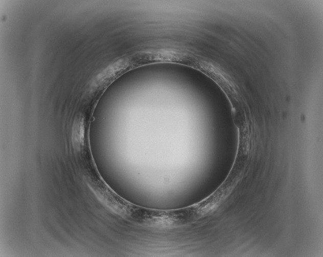 X0000086060310200703231248