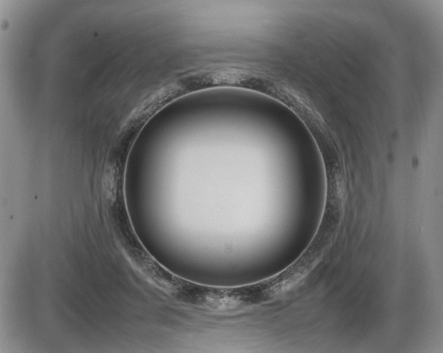 X0000086060311200703231248