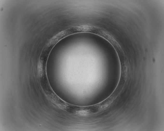 X0000086060312200703231248