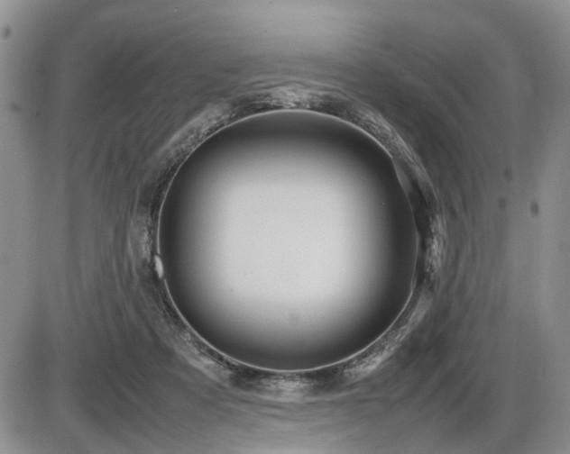 X0000086060313200703231248