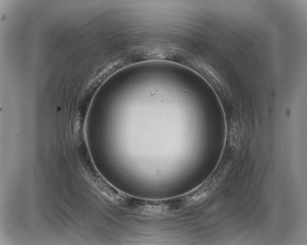 X0000086060314200703231248