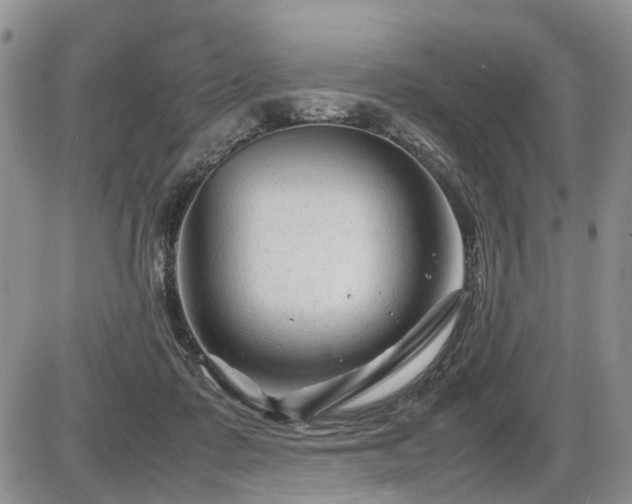 X0000086060315200703231248