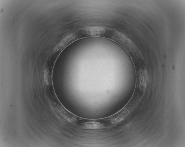 X0000086060316200703231248