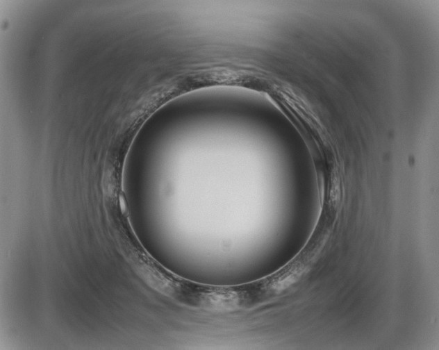 X0000086060317200703231248