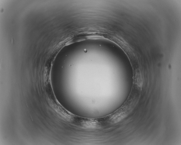 X0000086060318200703231248