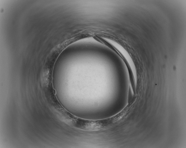 X0000086060319200703231248