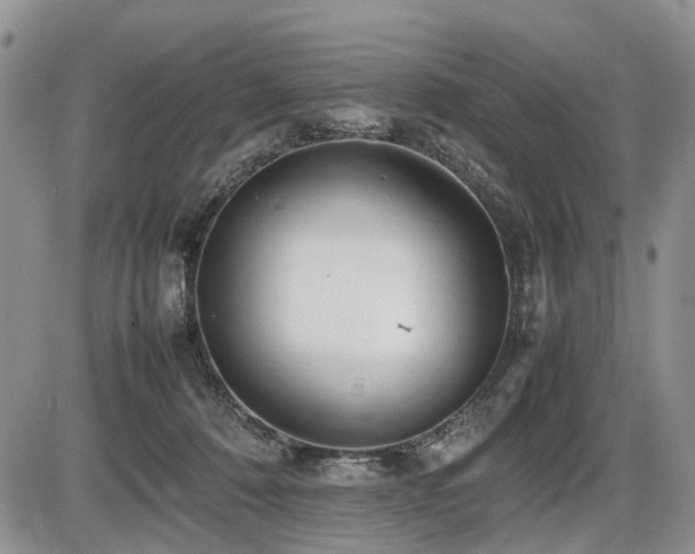 X0000086060320200703231248