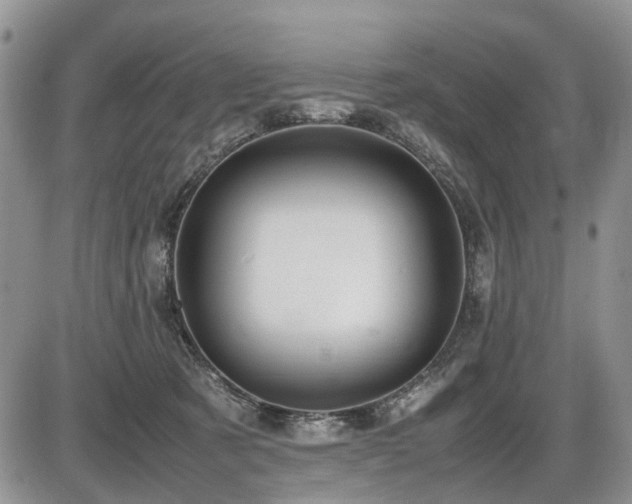 X0000086060321200703231248