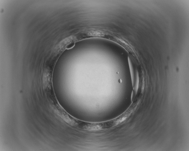 X0000086060322200703231248