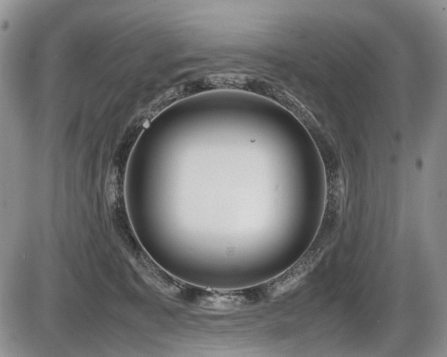 X0000086060323200703231248