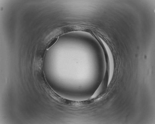 X0000086060325200703231248