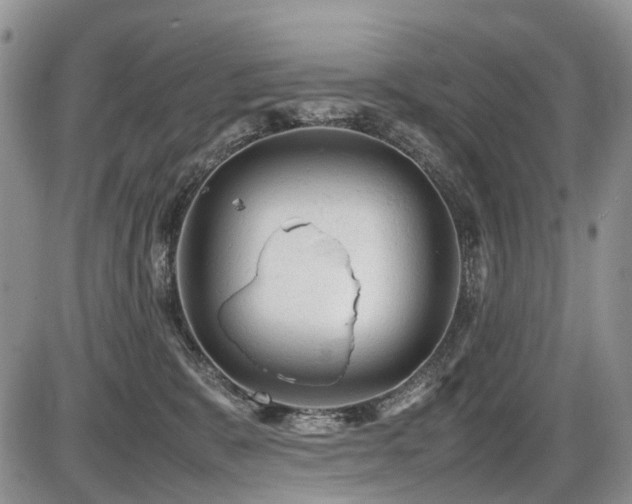 X0000086060327200703231248