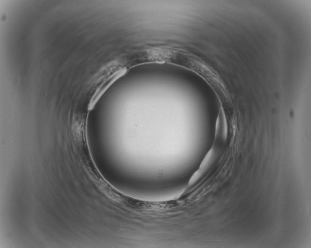 X0000086060329200703231248