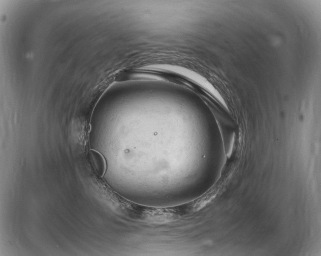 X0000086060331200703231248