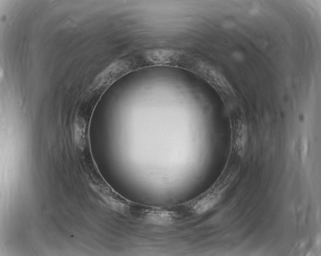 X0000086060332200703231248