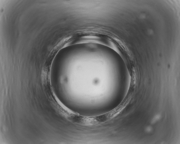 X0000086060333200703231248