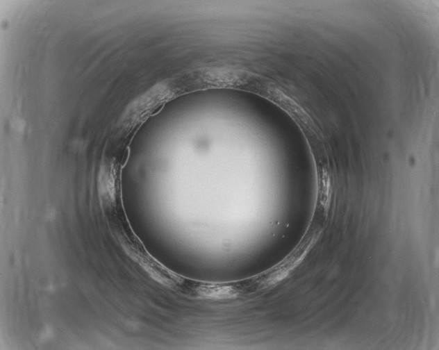 X0000086060334200703231248