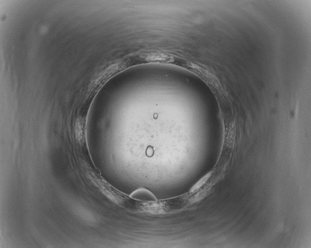 X0000086060335200703231248