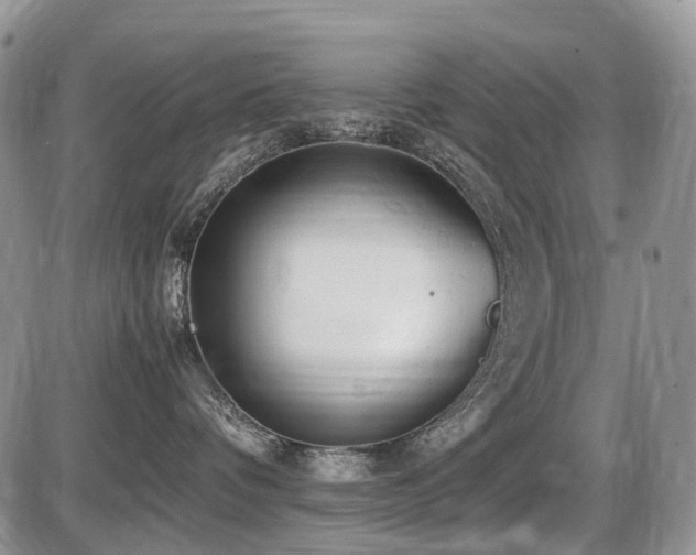 X0000086060336200703231248