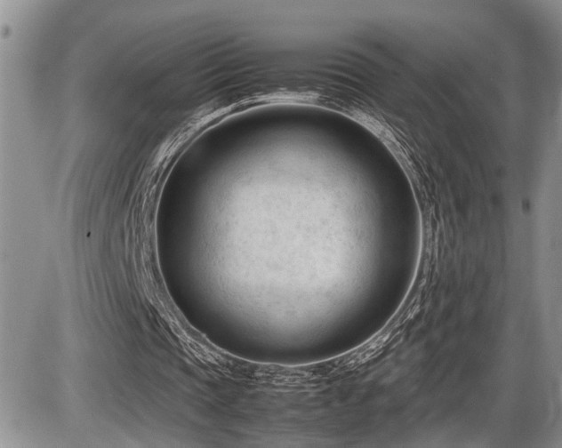 X0000086060337200703231247