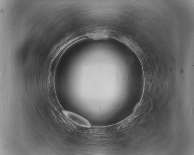 X0000086060338200703231247