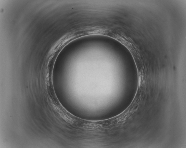 X0000086060339200703231247