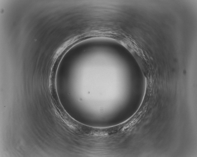 X0000086060340200703231247