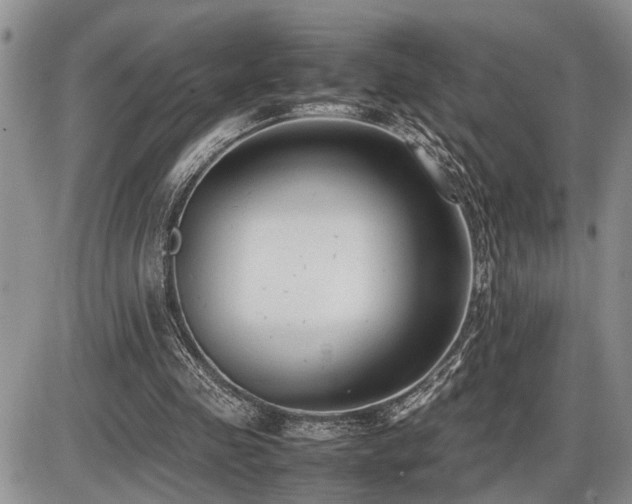 X0000086060341200703231247