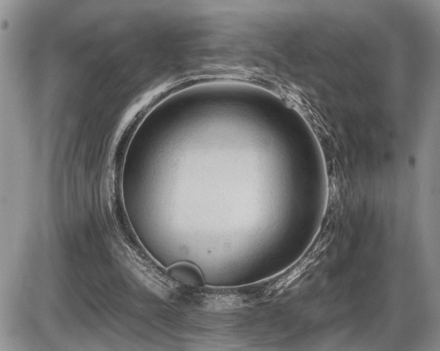 X0000086060342200703231247