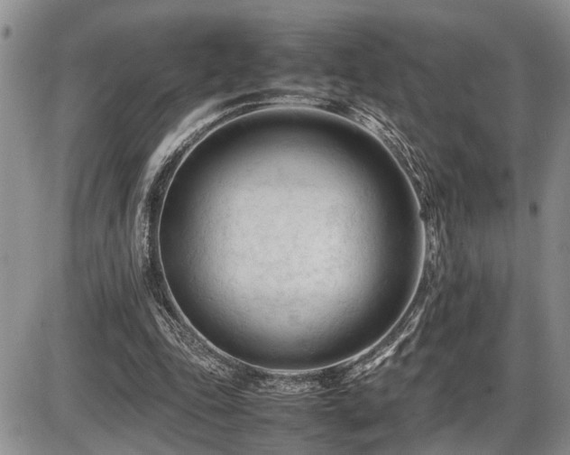 X0000086060343200703231247