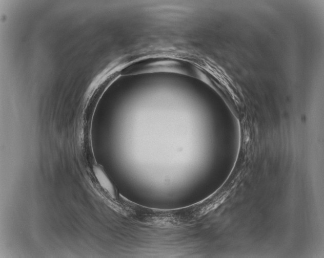 X0000086060344200703231247