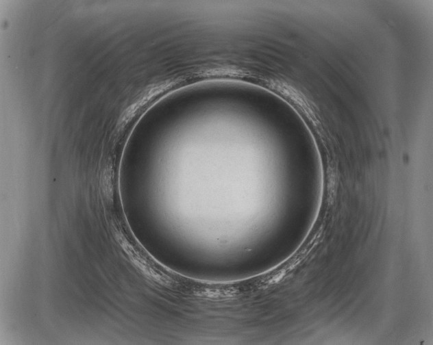 X0000086060345200703231247